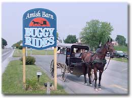 Aaron and Jessica’s Buggy Rides