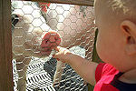 Cherry-Crest Farm - Paradise, Lancaster County, PA