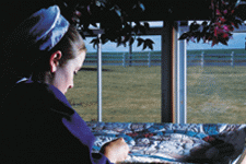 Quilt Shop at Miller's - Lancaster, PA