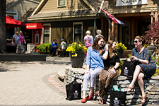 Kitchen Kettle Village