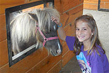 Lil’ Country Store & Miniature Horse Farm