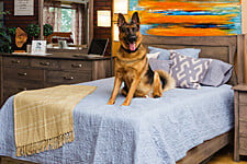 Snyder’s Furniture