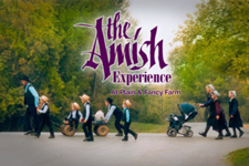 Amish Experience: Theater, Homestead, & Farm Tours