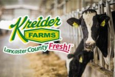 Kreider Farms Farm Tour