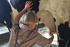 Old Windmill Farm – Amish Farm Tours