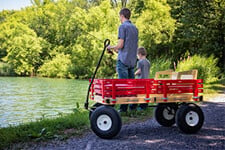 Lapp Wagons