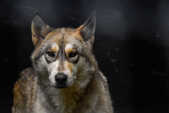 101 Fun Things To Do Here!